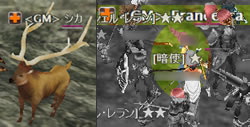  GMシカ＆GMフランチェスカ