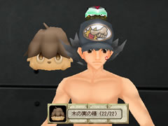 木の実の精