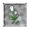 `[bv