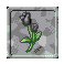 `[bv